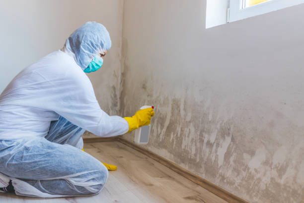 Crawl Space Mold Remediation treatment of floor joists in Hamilton